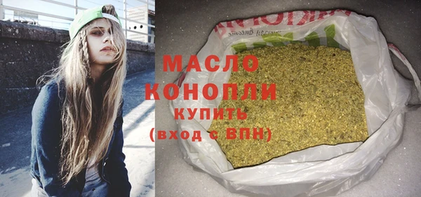 индика Богородск