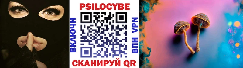 закладки  Яблоновский  Псилоцибиновые грибы мицелий 
